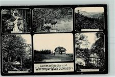 08261 O9655 Schöneck , Vogtl - Risswasserfälle Skihütte Falkenstein Hirsch Herrenteiche