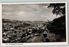 75365 W7260 Calw - Nagoldtal Schafsherde und Schäfer