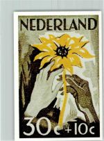 Abbildung Niederländischer Briefmarke Sonnenblume Motiv Niederlande