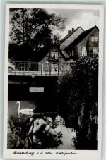 19258 O2830 Boizenburg - Wallgraben Schwäne