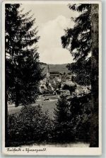 79822 W7820 Neustadt Titisee-Neustadt