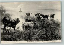Nr. 39 Verlag Brunner . Kühe am Bodensee, gute Erhaltung Koller, R. 1905