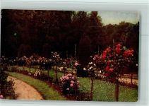 Verlag K.G.L. Nr. 4000 Lumiere AK Rosen Gartenbau