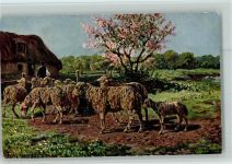 Schäfer Lamm Idylle Hirte Schaf