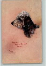 Young Dandie Diamant Terrier 1915 AK Terrier