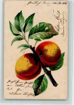 Pfirsiche AK Frucht, Gemüse 1904