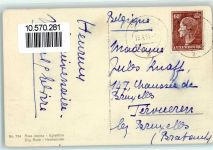 Heckenrose Edition Stehli 784 AK Alpenflora 1951
