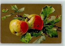 Äpfel - Verlag GOM 1337 AK Frucht, Gemüse