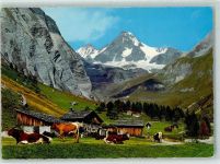 9981 Ködnitz - Ködnitztal bei Kals gegen Großglockner Kühe