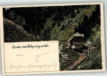 Schwarzwaldhaus Daur, H. 1897