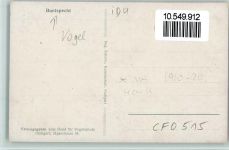 Buntspecht Vogelschutzbund Stuttgart AK Vogel 1920