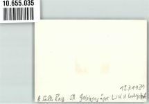 95100 W8672 Selb 1931 Privatfoto KEINE AK WK II Gebirgsjäger Ludwigstraße Ort handschriftlich