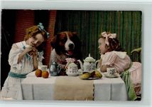 Bernhardiner Kind AK gedeckter Tisch 1910