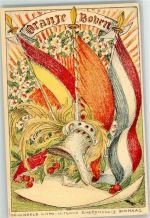 sign.Rensburg Eug. Oranje Boven Fahnen Helm Adel Niederlande Lithographie / Künstlerkarte