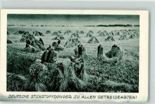 Stickstoffdünger zu allen Getreidearten Landwirtschaft Ährenernte Düngerwerbung