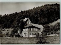 72270 W7292 Baiersbronn Foto AK Gasthaus Pension Sprunghügel