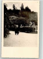 83471 W8240 Königssee b Berchtesgaden 1936 Foto AK Ort handschriftlich