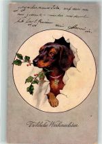 Weihnachten Ilex B.K.W.I. 2626-5 Dackel 1905