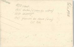 Dampfer Roland 1944 gesunken bei Narwa Seebäderschiff 1930