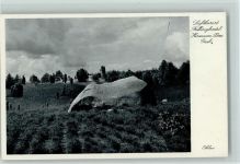 29683 W3032 Fallingbostel - Hermann Löns Grab