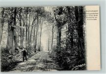 23714 W2423 Bruhnskoppel , Holst - Waldpartie am Krummensee