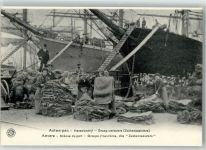 Antwerpen Anvers Foto AK Hafen
