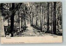 38871 O3705 Ilsenburg - im Ilsethal