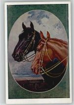 Hannoveraner und Ungar - Pferdekopf - Nr. 1 Serie Rassepferde - Pferd 1922