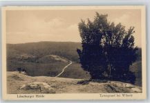 29646 W3045 Wilsede , Kr Soltau - Totengrund