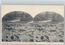 Lotusblumen - Knackstaedt & Näther - Stereo AK Seerose 1900