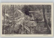 32805 W4934 Leopoldstal , Lippe - Waldgaststätte Pension Silbermühle ex Sammlung Busse
