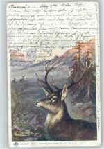 Im Forst - Serie X - Hirsch - 1901 AK Döcker, E. Künstlerkarte