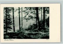 Lazi Nr. 386 AK Lichte Höhen ca 1927 AK Schwarzwald