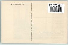 Lazi Nr. 386 AK Lichte Höhen ca 1927 AK Schwarzwald