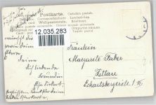 Küken mit Eier Blumengirlande und Kätzchenzweige, litho Osterei 1910 Prägedruck