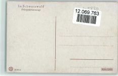 Schwarzwaldhaus Simon A.