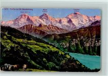 Beatenberg Partie bei St. Beatenberg Kühe Hirt Eiger Mönch Jungfrau Kuh