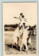 Pferde Kunstreiten - Foto ca 1938 AK Zirkus Artist
