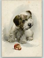 sign Degmitzel 1936 AK Terrier Künstlerkarte