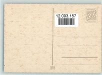 Yorkshire Terrier Welpen ca 1965 AK Yorkshire Terrier