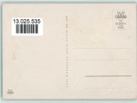 Gänse als Schnattermäuler Cawar Bildkarte Nr. 1058 AK Tier, vermenschlicht Künstlerkarte