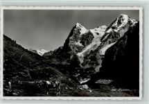 Mürren Kühe Kuh