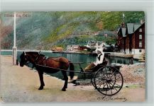 Odda 1906 - Frau Pferdewagen
