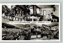 77889 W7596 Seebach , Baden - Hotel Hornisgrinde-Löwen mit Innenansicht ca 1960 AK