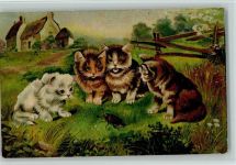Pfingsten - Katzen mit einem Maikäfer - 1910 Hoffmanns Stärke Werbe AK Maikäfer