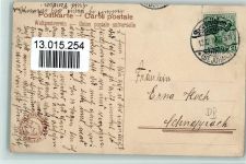 Pfingsten - Katzen mit einem Maikäfer - 1910 Hoffmanns Stärke Werbe AK Maikäfer