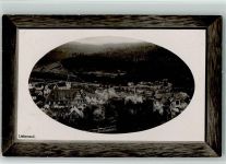 W7263 Bad Liebenzell Prägedruck Holzrahmen 1912 Gebrauchsspuren