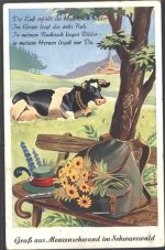 79837 W7821 Menzenschwand AK mit Leporello Kuh Bank Rucksack Blumenstrauss