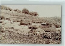 Foto AK Urvölker - Rundhütten Dorf, gute Erhaltung AK