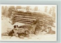 ca 1932 - Vorbereitung zur Fahrt - Kanada Hundeschlitten Foto AK